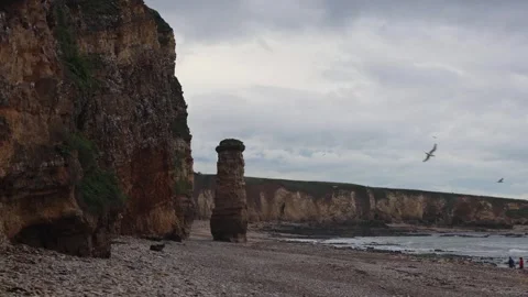 Seashore With High Rocks and Many Seagulls on a Cloudy Day (Marsden Beach, UK) Stock Footage 246940238