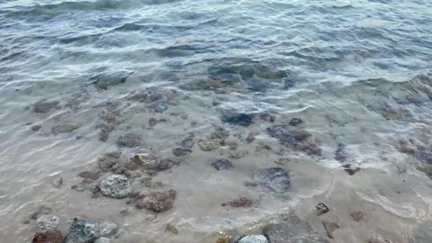 Seashore to horizon Stock Footage 150254972