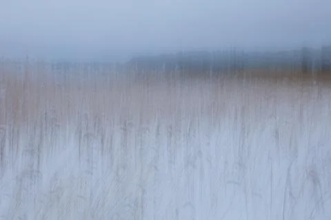 Seashore ICM. Foto stock