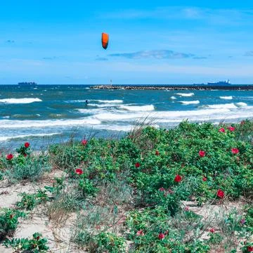 The seashore, a kite surfer on the waves, a ship in the distance. Stock Photos