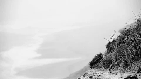 Seashore Landscape 動画素材 120867468