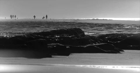 Seashore Landscape Stock Footage 121318679
