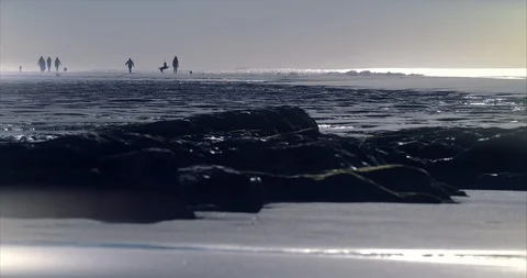 Seashore Landscape 動画素材 121318691