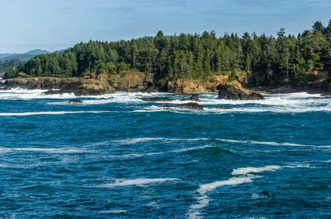 Seashore lined with green trees Stock Photos