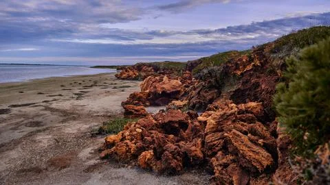 Seashore at low tide in the evening. Stock Photos