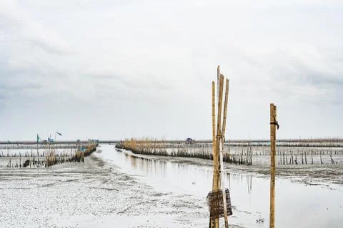 Seashore with low water level, shell farm with dried bamboo and clay 库存照片