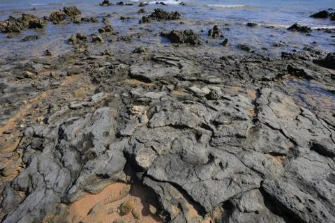 Seashore Stock Photos
