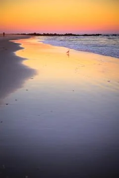 Seashore Stock Photos