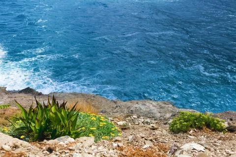 Seashore Stock Photos