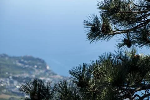 Seashore Stock Photos