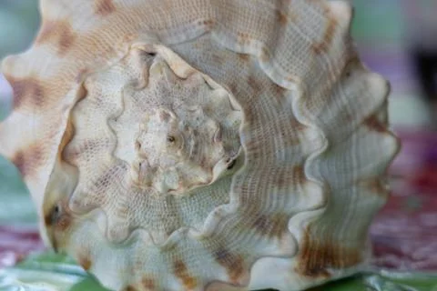 The seashore Stock Photos