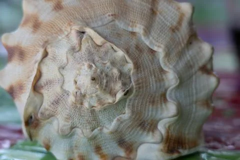 The seashore Stock Photos