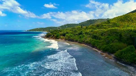 Seashore Picture. Stock Photos