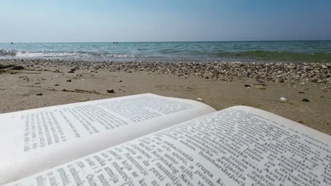 Seashore Reading Retreat: Open Book with Ocean View Stock Footage 250469853