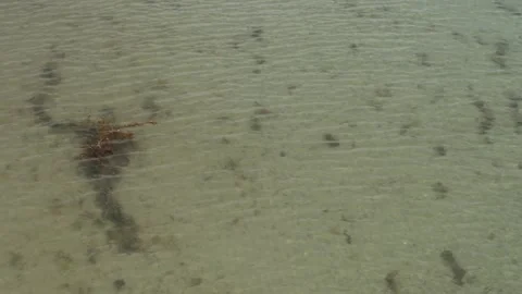 Seashore rising Видео 295080001