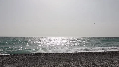 Seashore, rocky beach and waves, seabirds flying, sunny weather Stock Footage 166645110