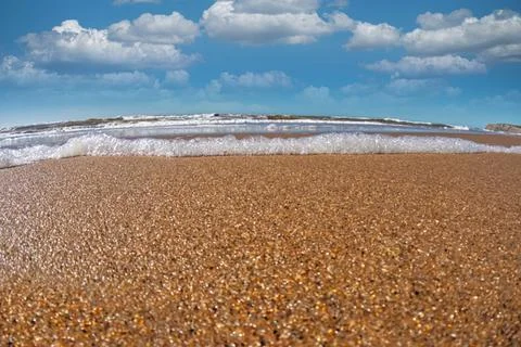 Seashore with sand and shells Stock Photos
