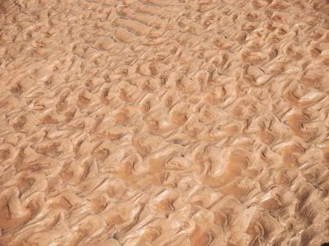 Seashore sand texture Stock Photos