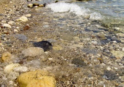 Seashore, sea beach large and small stones, a wave runs ashore, shallow water Stock Photos