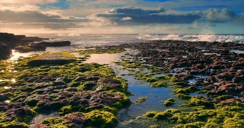 Seashore Series 動画素材 112749126