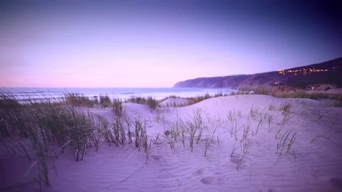 Seashore Series 動画素材 121316179