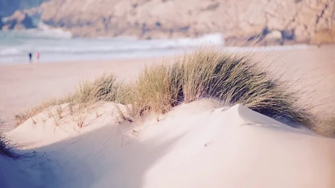 Seashore Series 動画素材 121316241