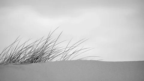 Seashore Series 動画素材 121316305