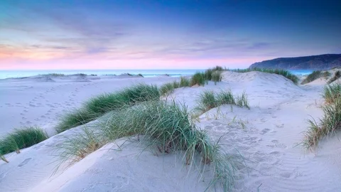 Seashore Series Stock Footage 121318473