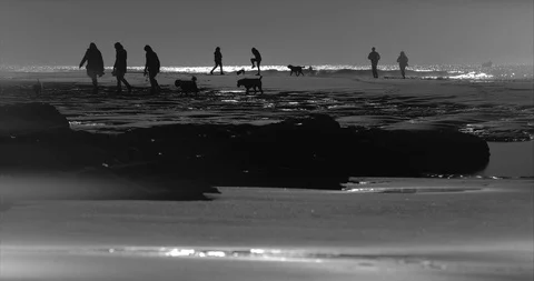 Seashore Silhouette Landscape Stock Footage 121318669