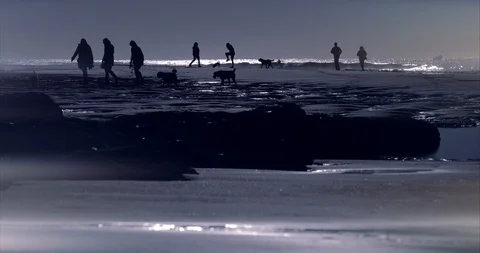 Seashore Silhouette Landscape Stock Footage 121318677