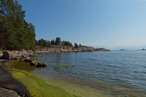 Seashore in summer. Stock Photos