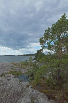 Seashore in summer. Stock Photos