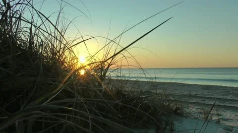 Seashore at sunrise Video stock 11058775