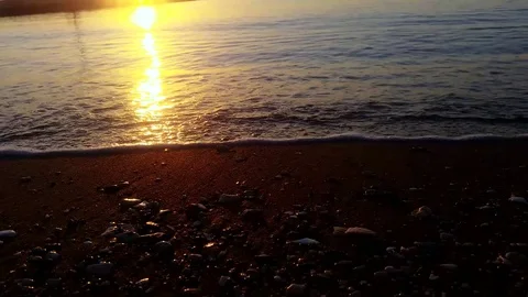 Seashore at sunrise Stock Footage 69792793