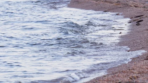 Seashore at sunset Stockbeeldmateriaal 120313505