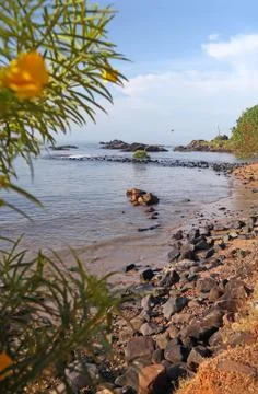 Seashore in tropics Stock Photos