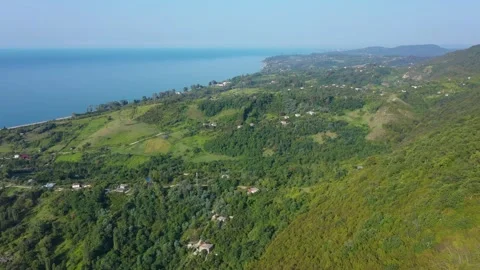 Seashore view landscape with green forest and red roofs of the houses in New Video stock 148165346