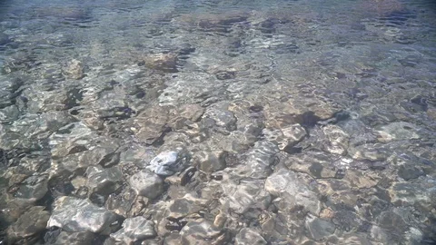 Seashore water surface Video stock 88653670