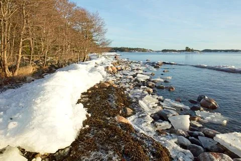 Seashore in winter. Foto stock