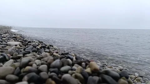 Seashore2 Video stock 312913577