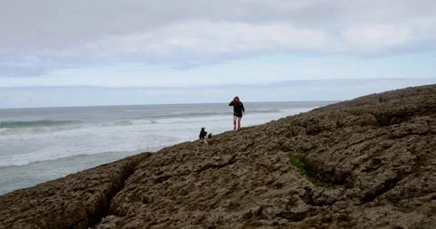 Seashore's Boundless Beauty: Vidéo 333208382