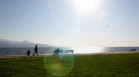 Seaside And  Silhouettes Stock Footage 36595913
