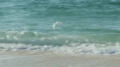 Seaside beach Stock Footage 299816078