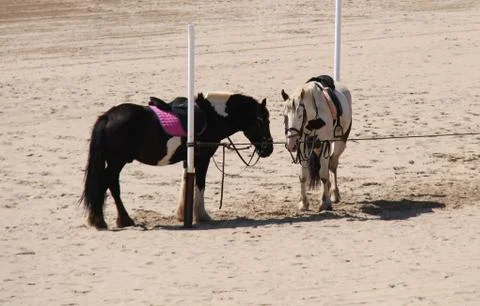 Seaside Beach Rides. Stock Photos