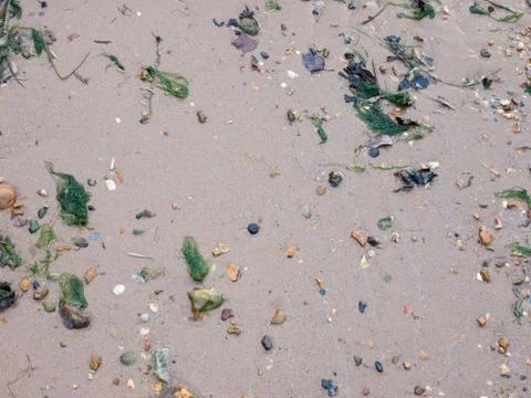 Seaside beach surface texture wet water sand lichen rocks stones Stock Photos