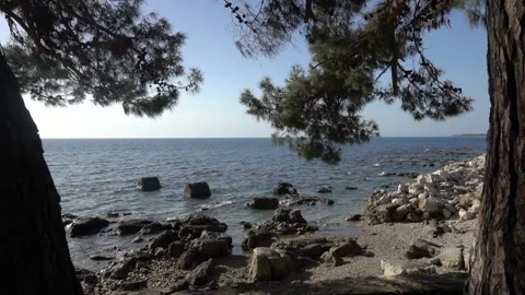 Seaside Behind the Trees 스톡 동영상 138208548