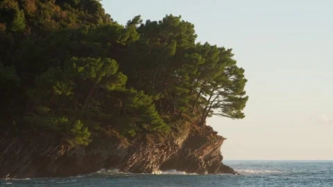 Seaside Cliffs with Lush Pine Trees. Stock Footage 257207295