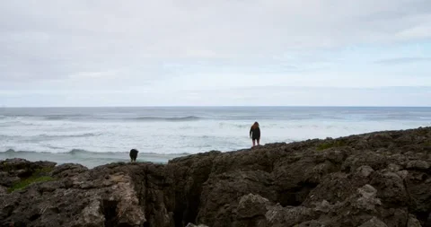 Seaside Contemplation: Stock Footage 333207909