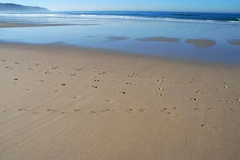 Seaside in a cool beach Stock Photos