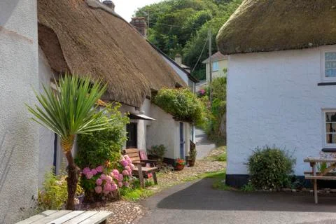 Seaside cottages, devon Stock Photos